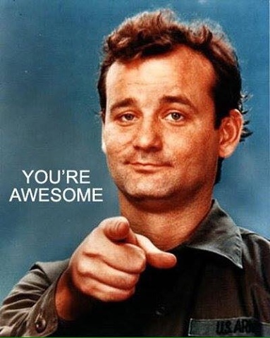 1111MEME -- Ghostbusters You Are Awesome