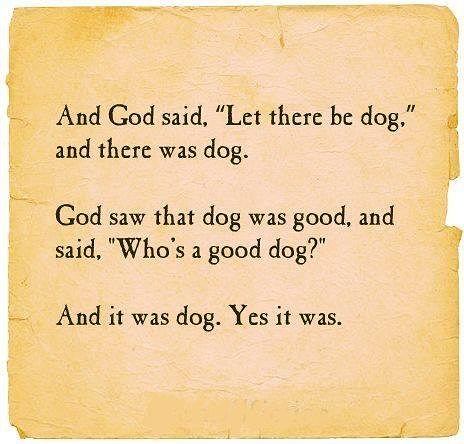 1111MEME -- Let There Be Dog