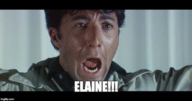 1111Meme -- ELAINE!
