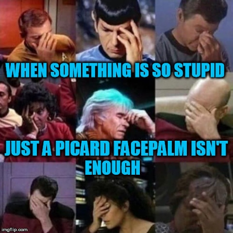 MEME -- When Just A Picard Facepalm Is Not Enough