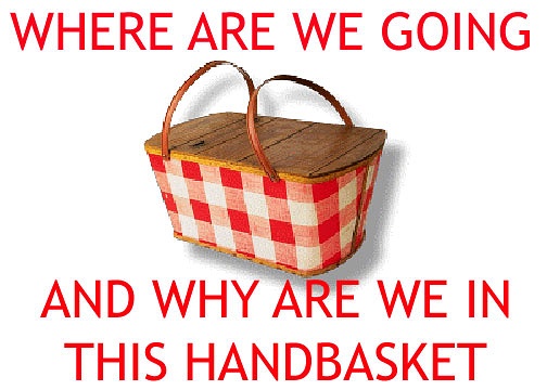MEME -- Where Going And Why Handbasket